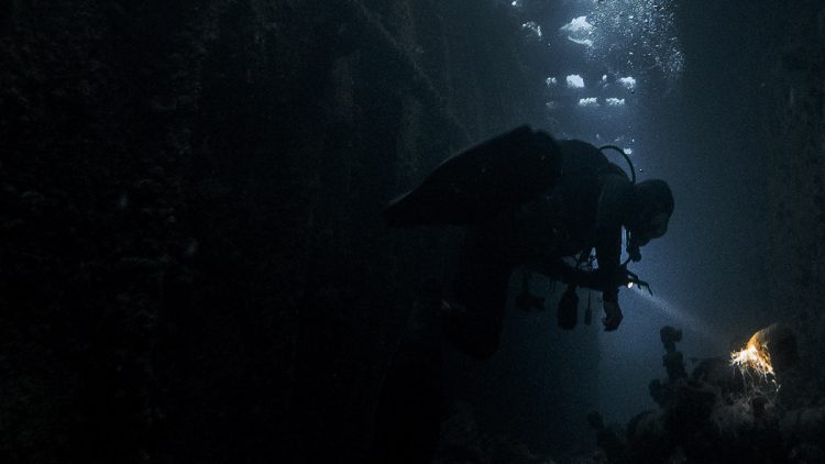 暗闇の水中で活動するダイバー 視認性が重要な環境