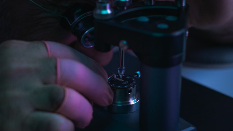 Swiss MadeというSQUALEの基準